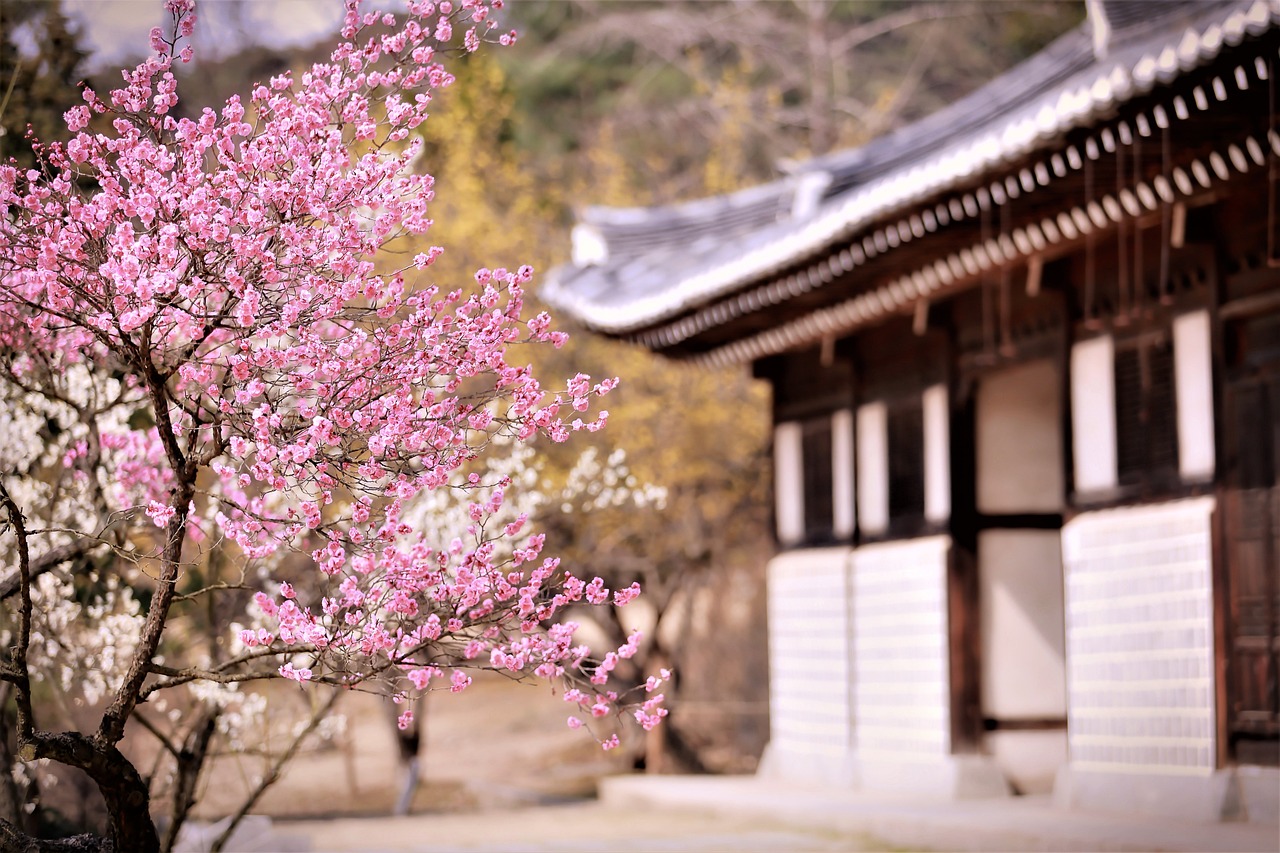 梅花集團股吧深度解析，背景、現狀與未來展望探究